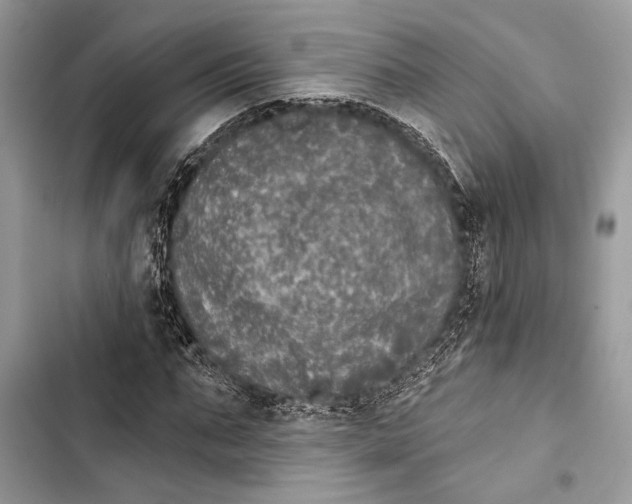 X0000103460871200810031456