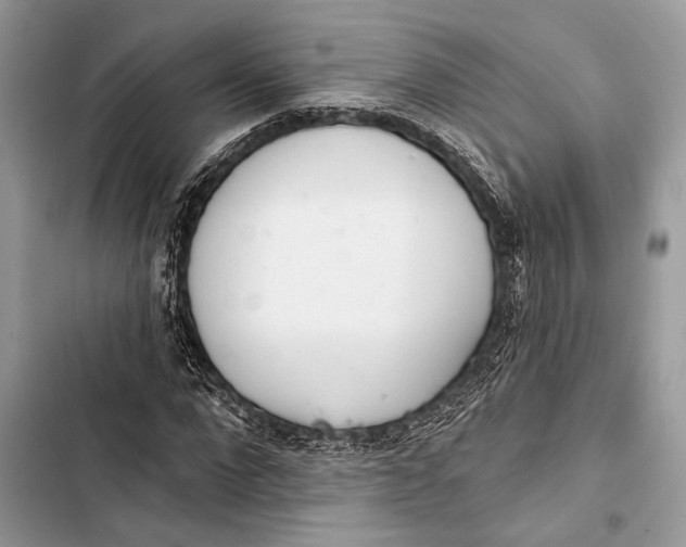 X0000103460872200810031456