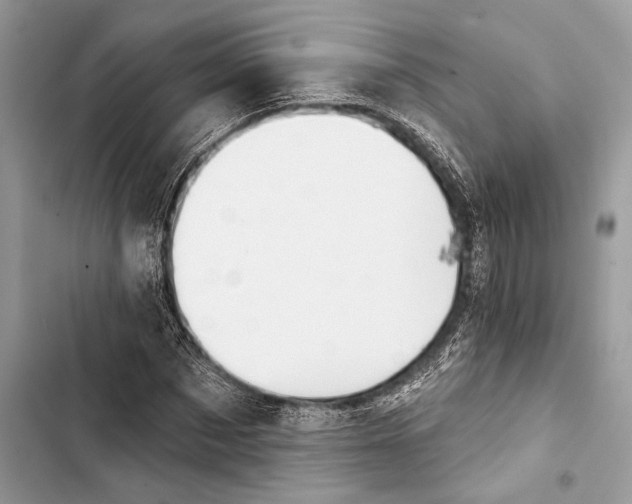 X0000103460873200810031456