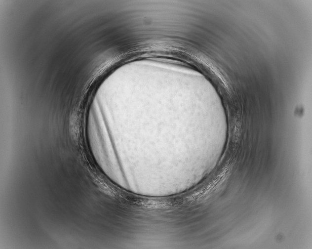 X0000103460874200810031456