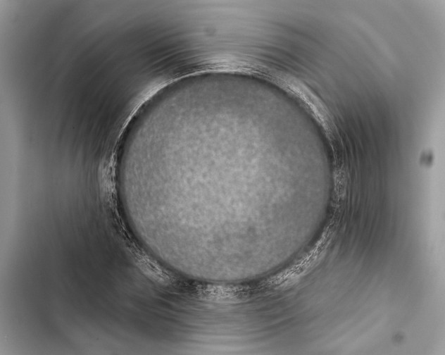 X0000103460875200810031456