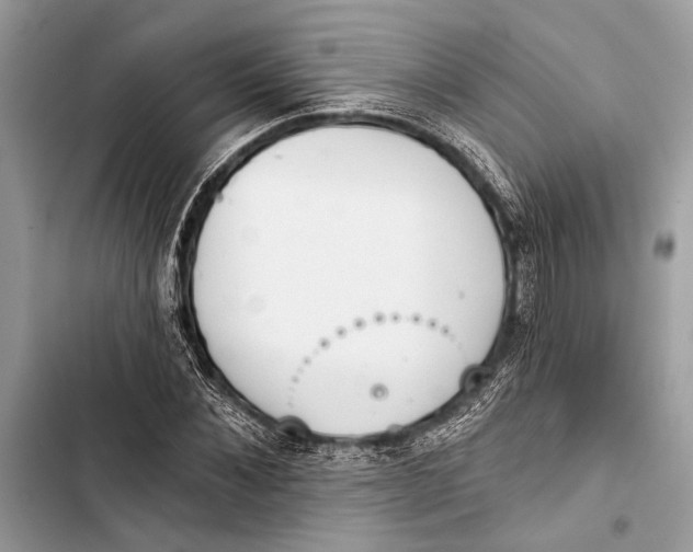 X0000103460876200810031456