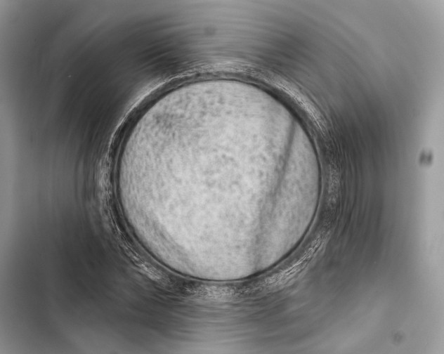 X0000103460878200810031456