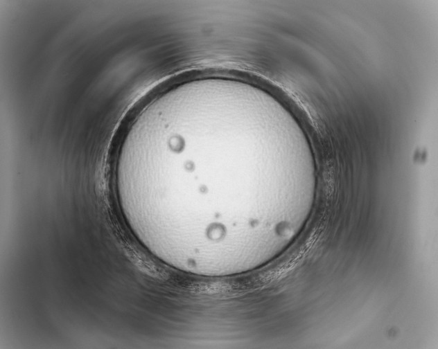 X0000103460879200810031456