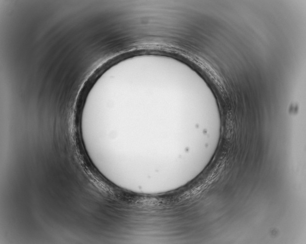 X0000103460880200810031456