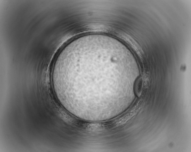 X0000103460883200810031456