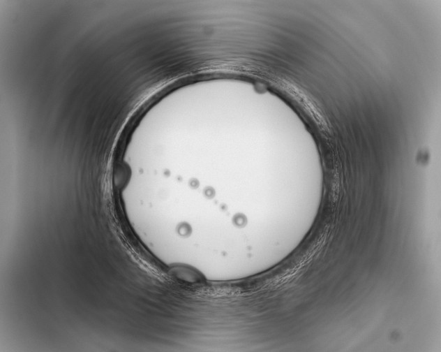 X0000103460884200810031456