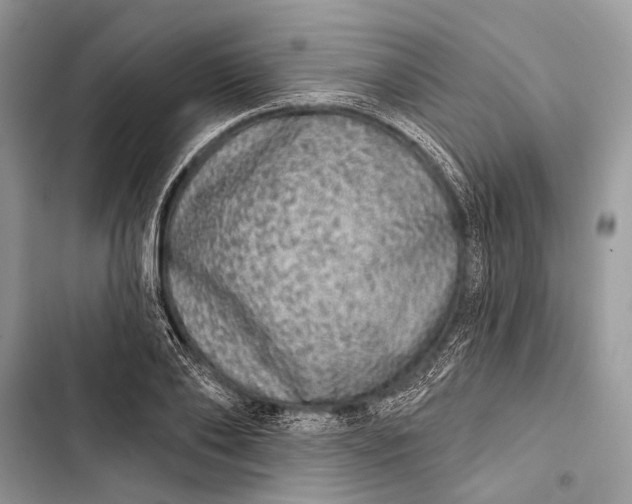 X0000103460886200810031456