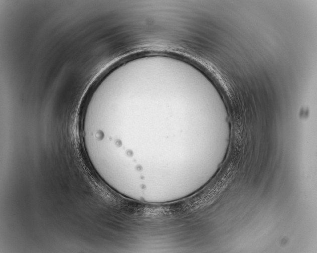 X0000103460887200810031456