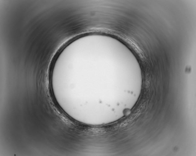 X0000103460888200810031456