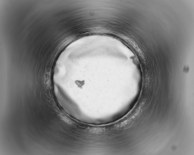 X0000103460889200810031456