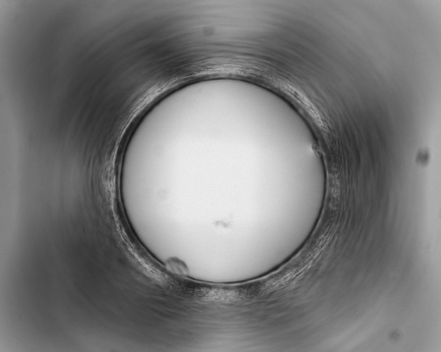 X0000103460890200810031455