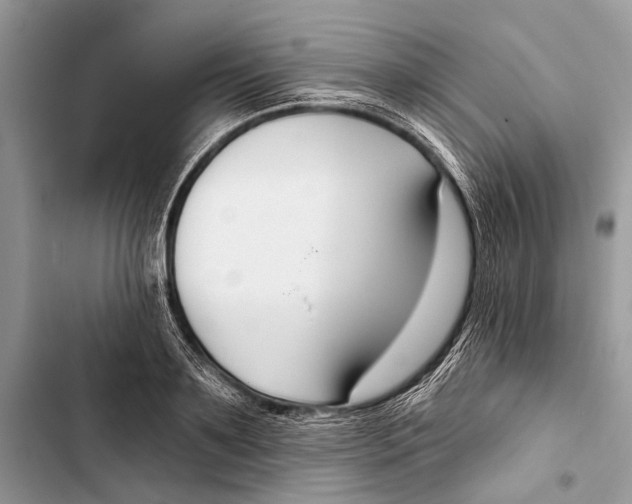 X0000103460891200810031455