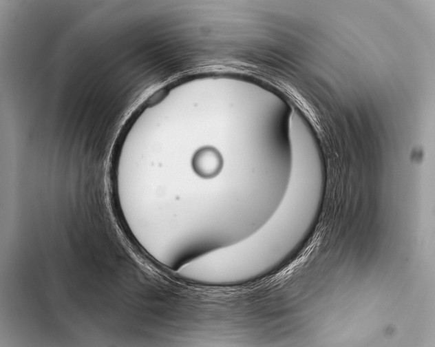 X0000103460893200810031455