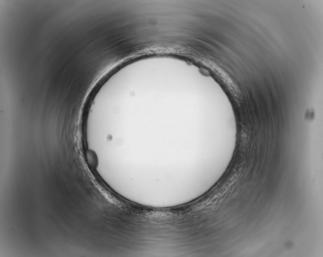 X0000103460894200810031455