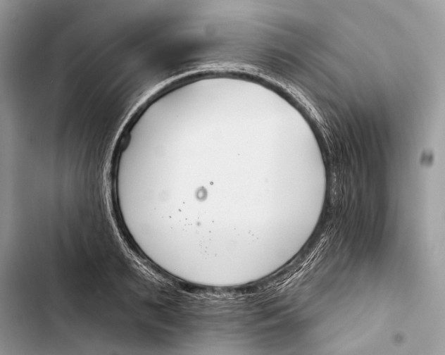 X0000103460895200810031455