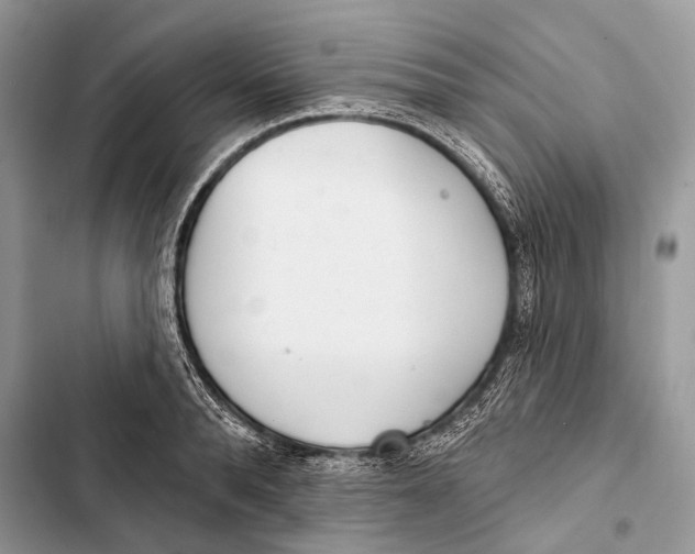 X0000103460896200810031455