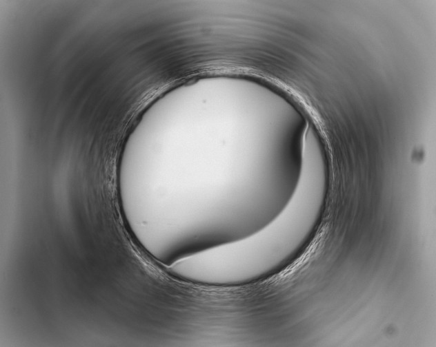 X0000103460897200810031455