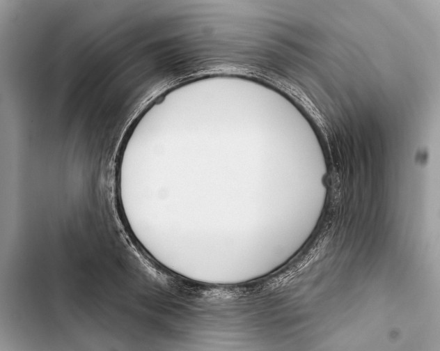 X0000103460898200810031455