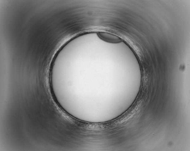 X0000103460901200810031455