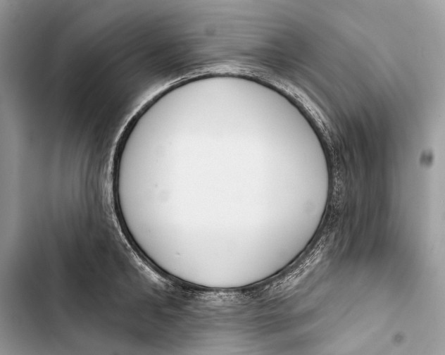 X0000103460902200810031455