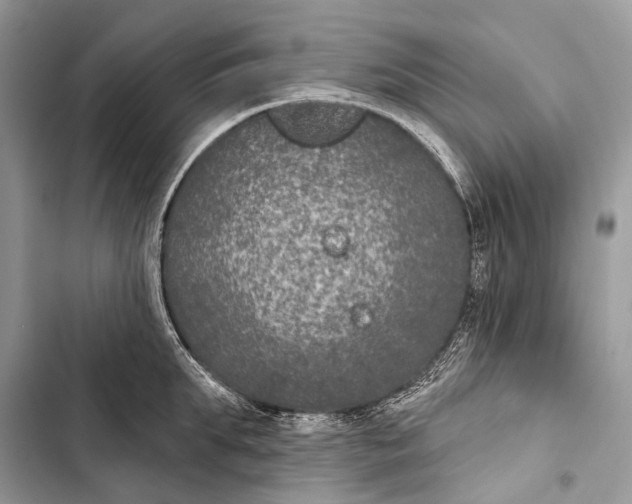 X0000103460903200810031455