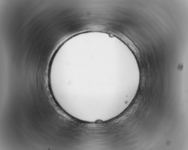 X0000103460904200810031455