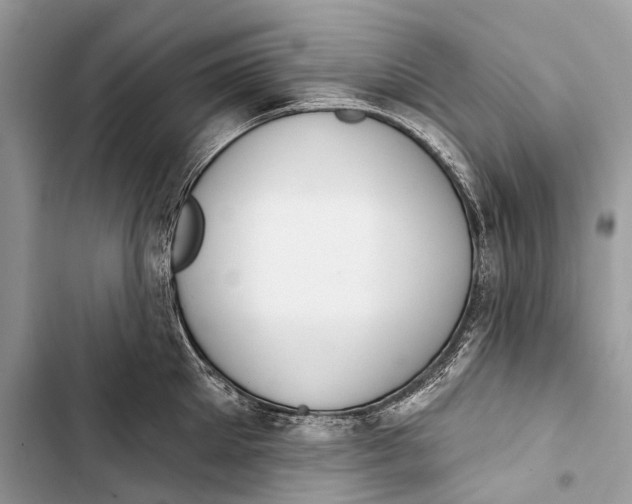 X0000103460905200810031455