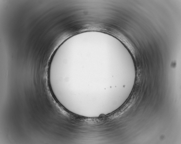 X0000103460906200810031455