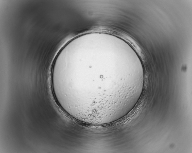 X0000103460907200810031455