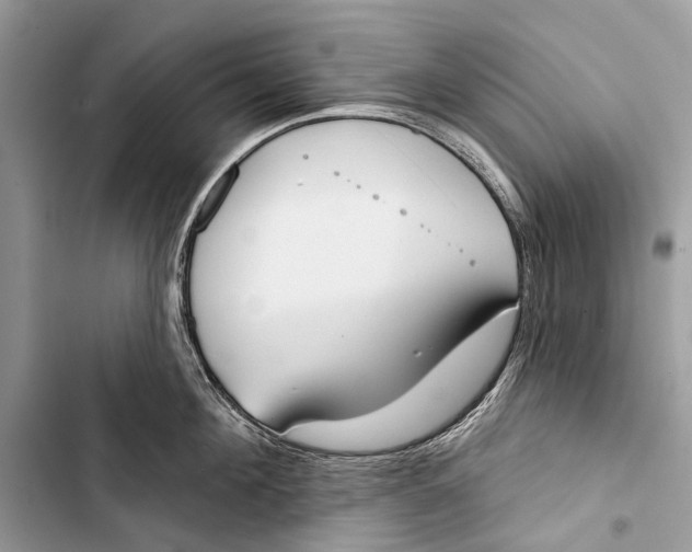 X0000103460908200810031455