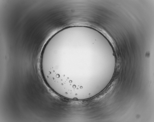 X0000103460909200810031455