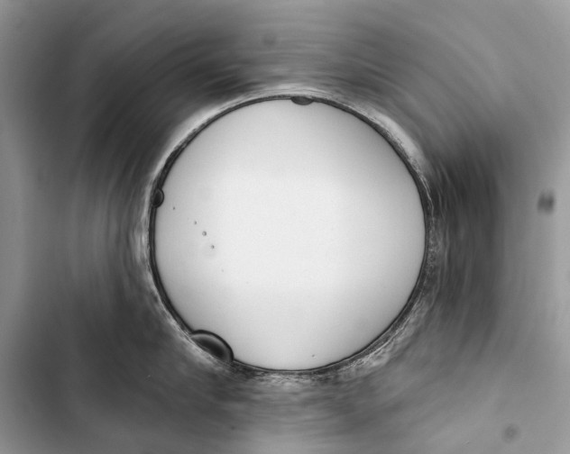 X0000103460910200810031455