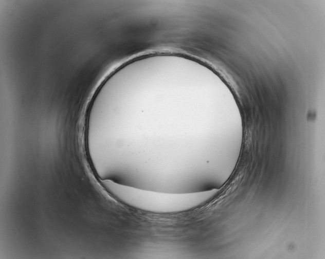 X0000103460911200810031455