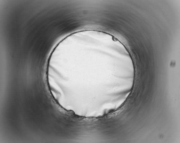 X0000103460912200810031455