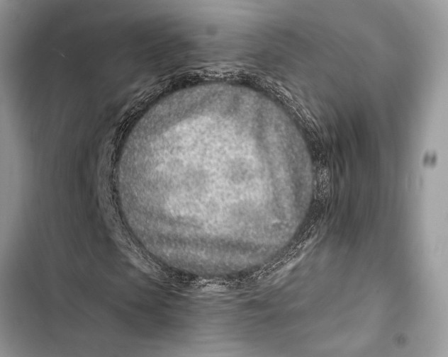 X0000103460913200810031454