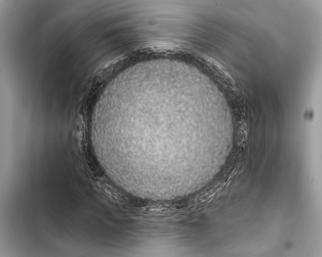 X0000103460917200810031454