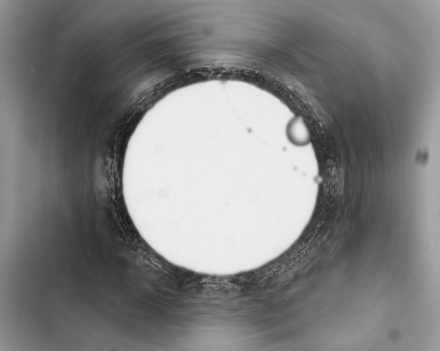 X0000103460918200810031454