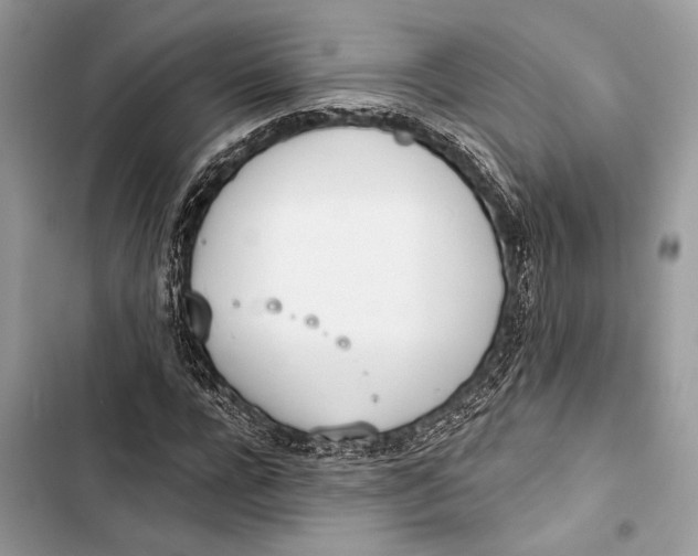 X0000103460920200810031454