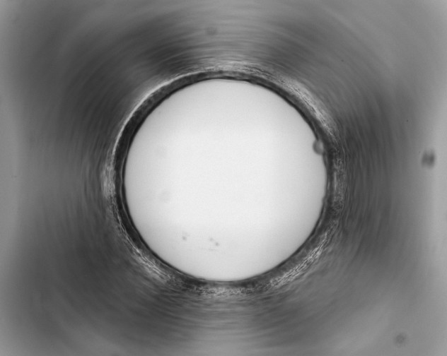 X0000103460924200810031455