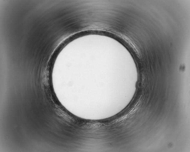 X0000103460926200810031455