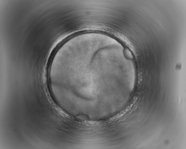 X0000103460928200810031455