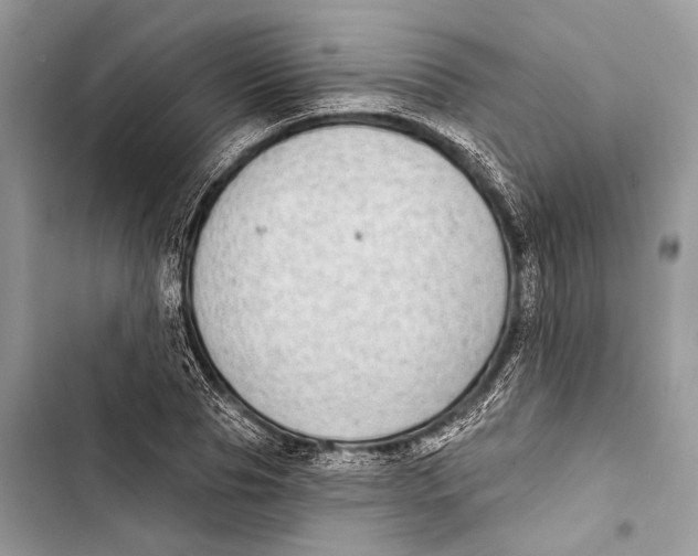 X0000103460929200810031455