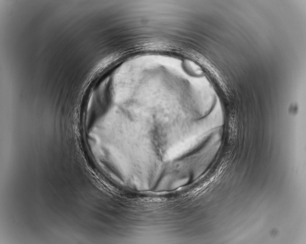 X0000103460930200810031455