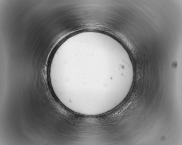 X0000103460932200810031455