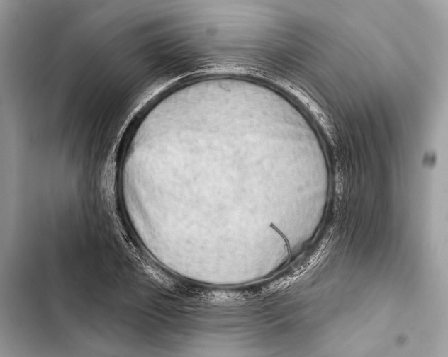 X0000103460933200810031455