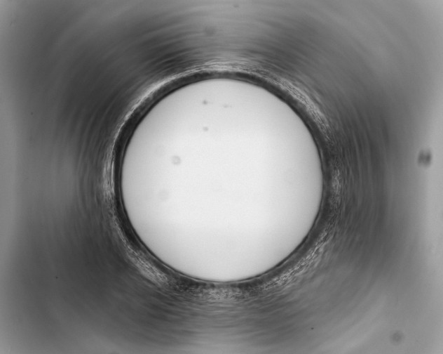 X0000103460934200810031455