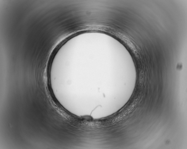 X0000103460936200810031455