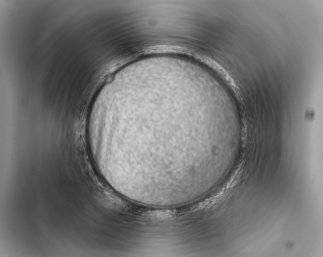 X0000103460937200810031455