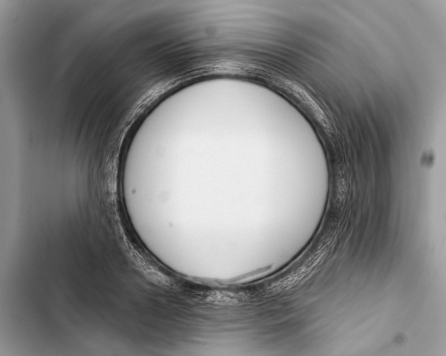 X0000103460938200810031455